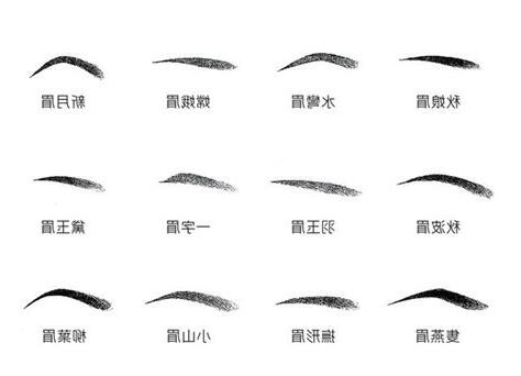 柳葉眉 男